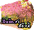 op-smallpetal